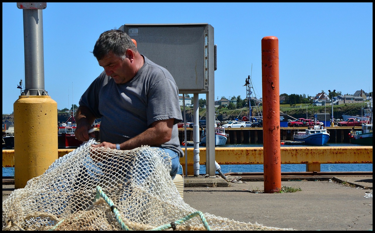 fisher fisherman fishing net free photo