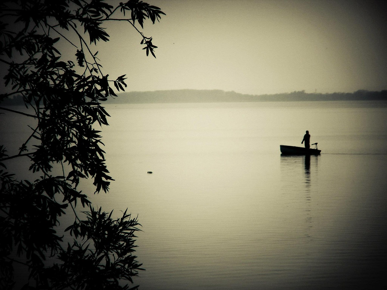 fisher angler ship free photo