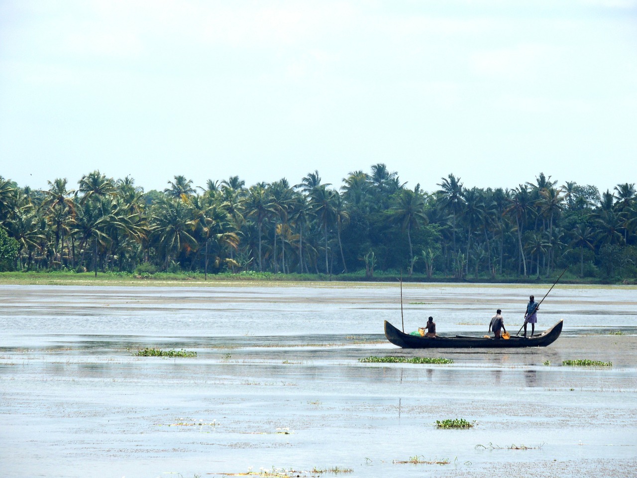 fisherman boat river free photo