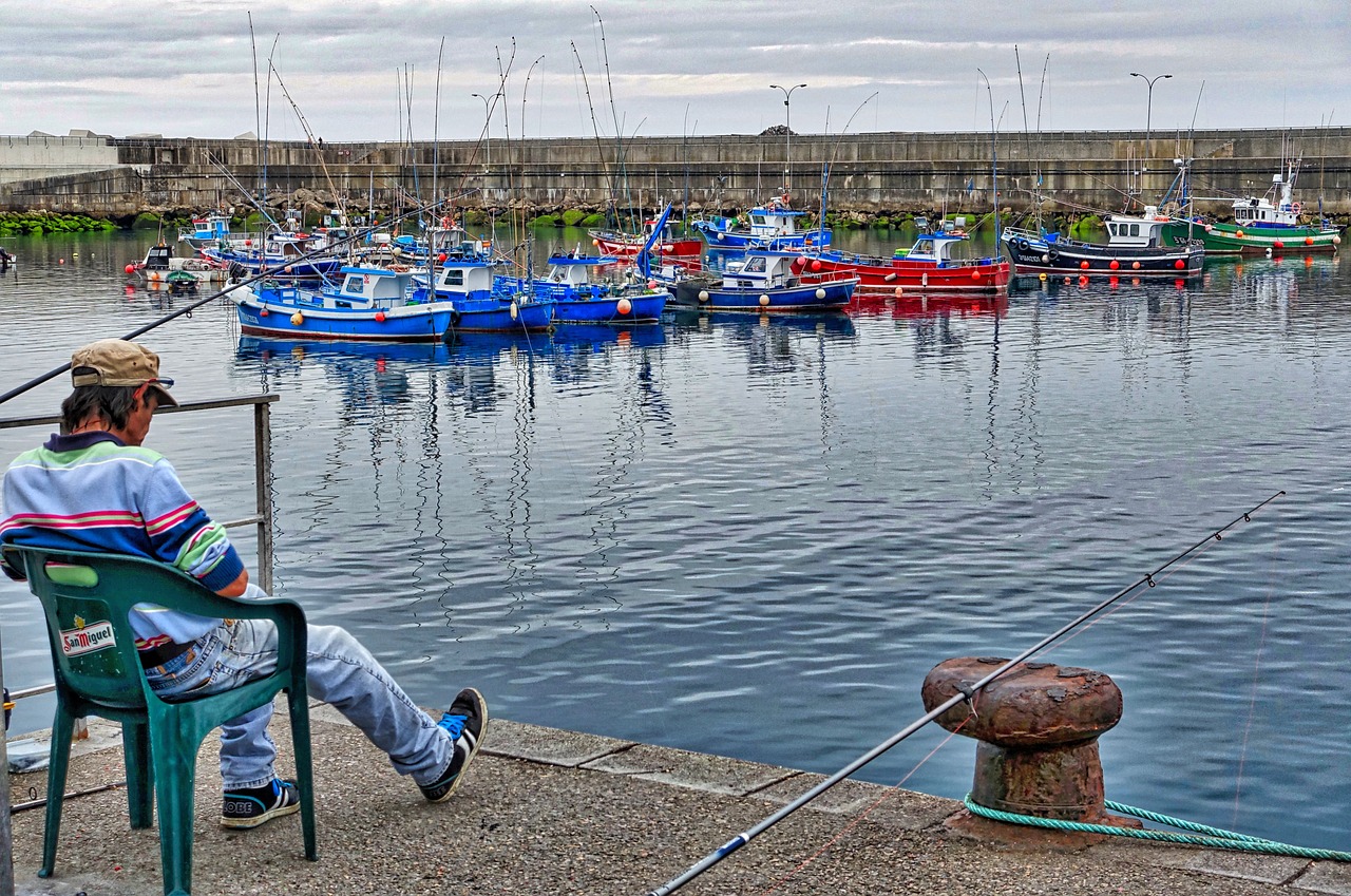 fisherman harbour boats free photo