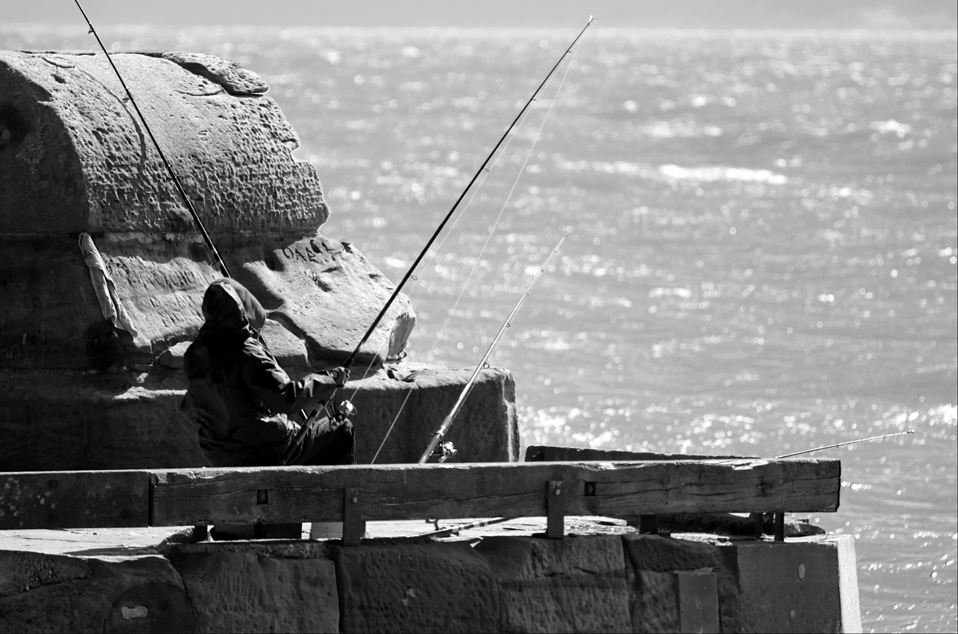 fisherman hobby occupation free photo
