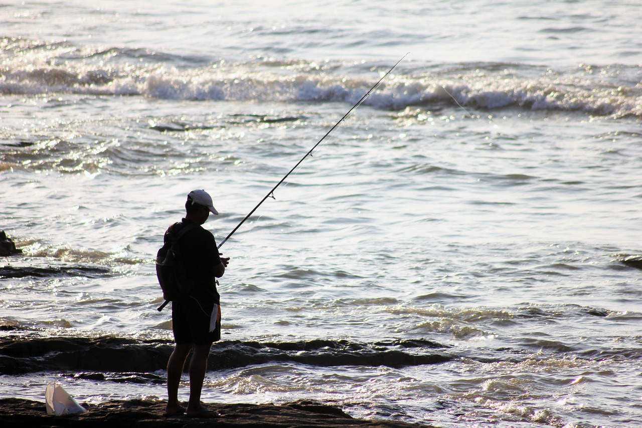 fisherman fishing waves free photo