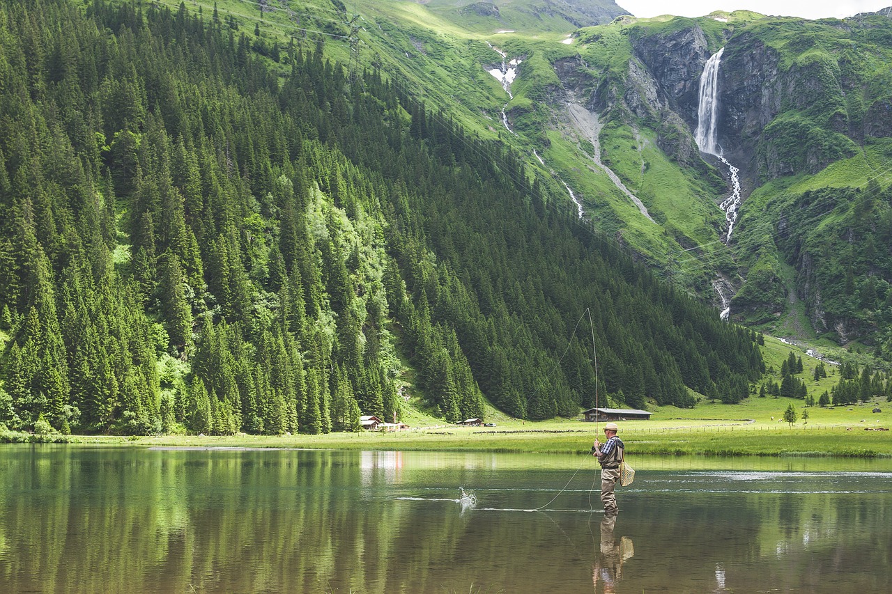 fisherman fishing grass free photo