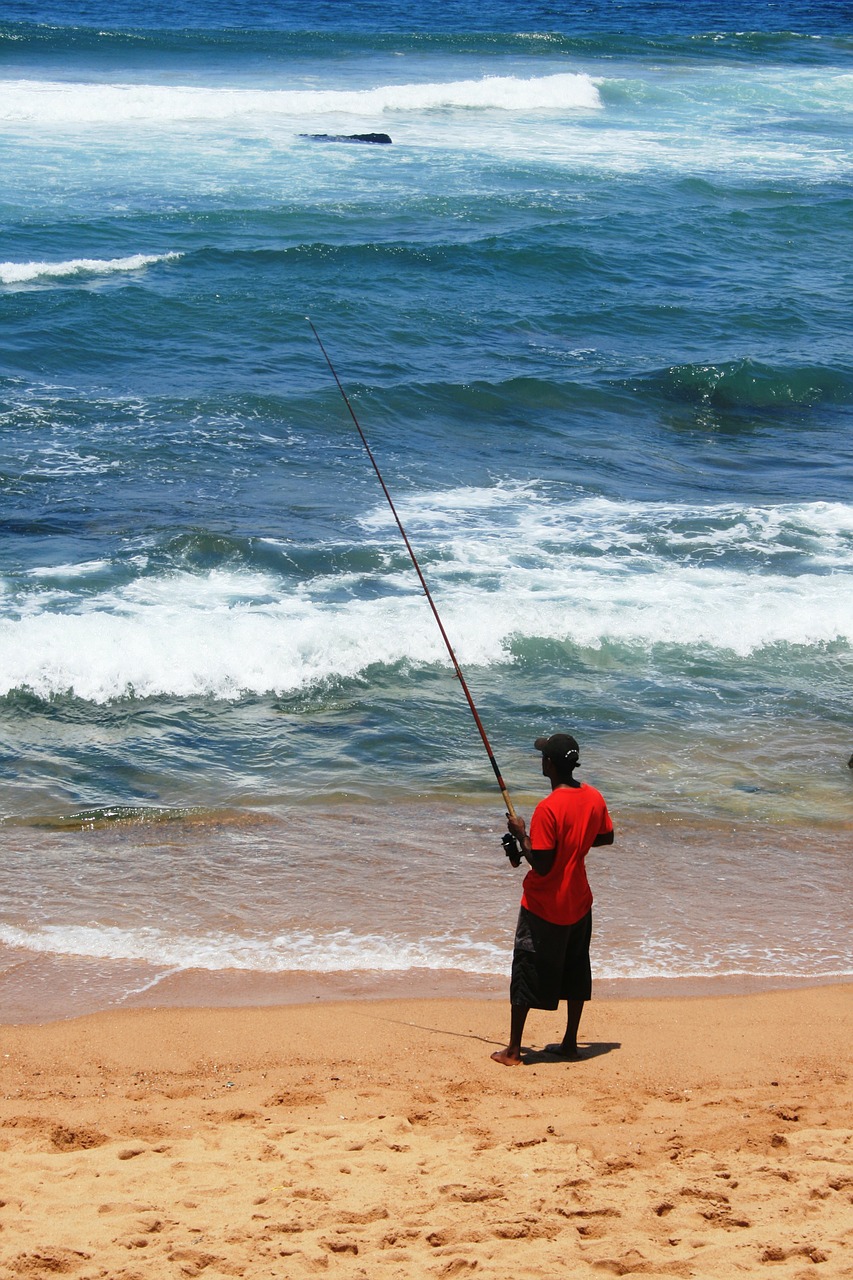 fisherman man fishing free photo