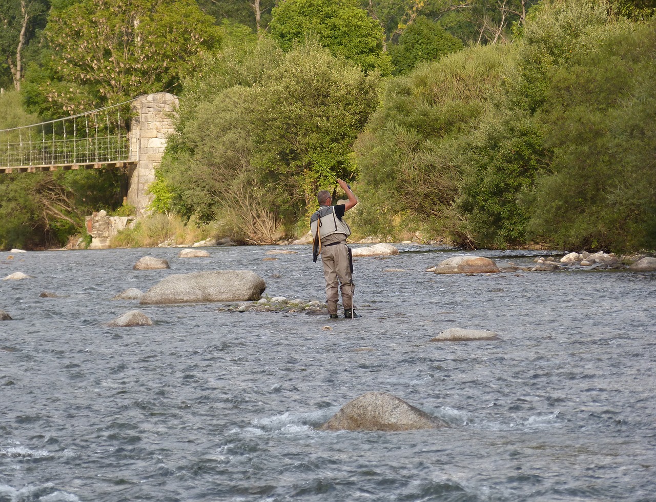 fisherman sport fishing free photo