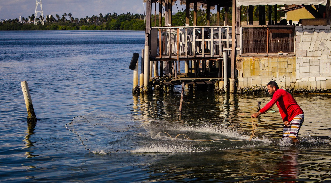 fisherman fishing network free photo