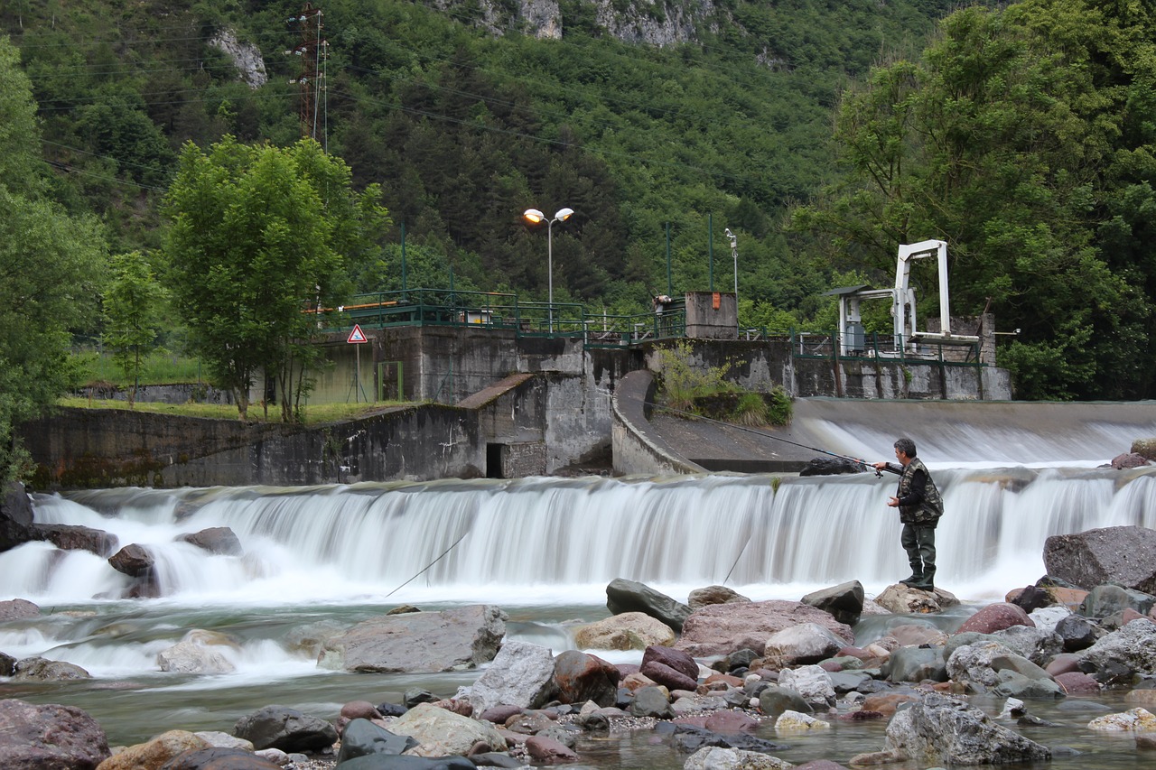 fisherman  fishing  fish free photo