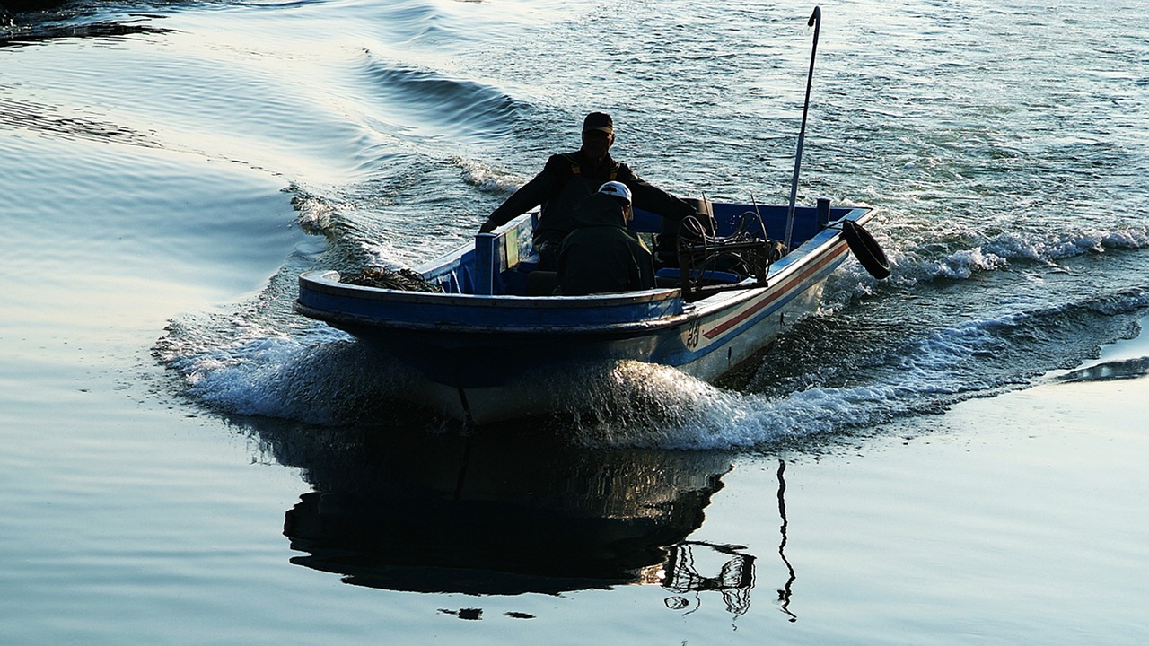fisherman  gangneung  fishing free photo