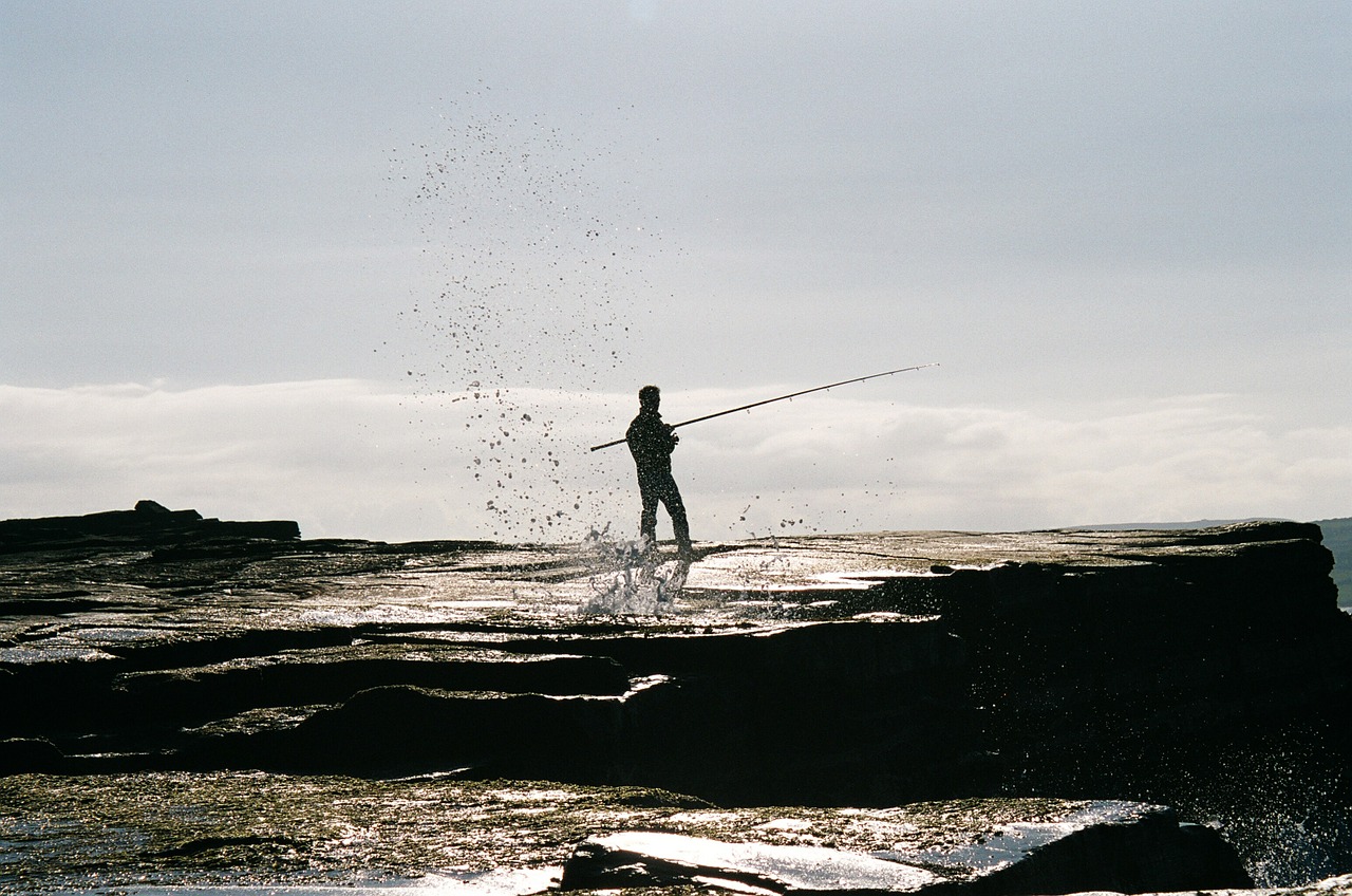 fisherman fishing fishing rod free photo