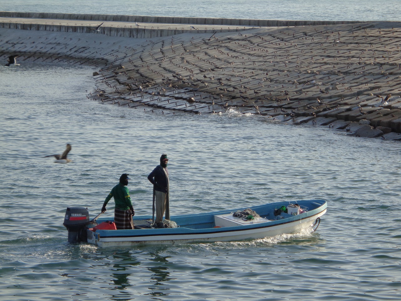 fisherman  beach  sea free photo