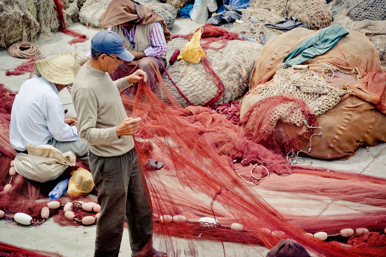 fisherman  networks  fishing free photo