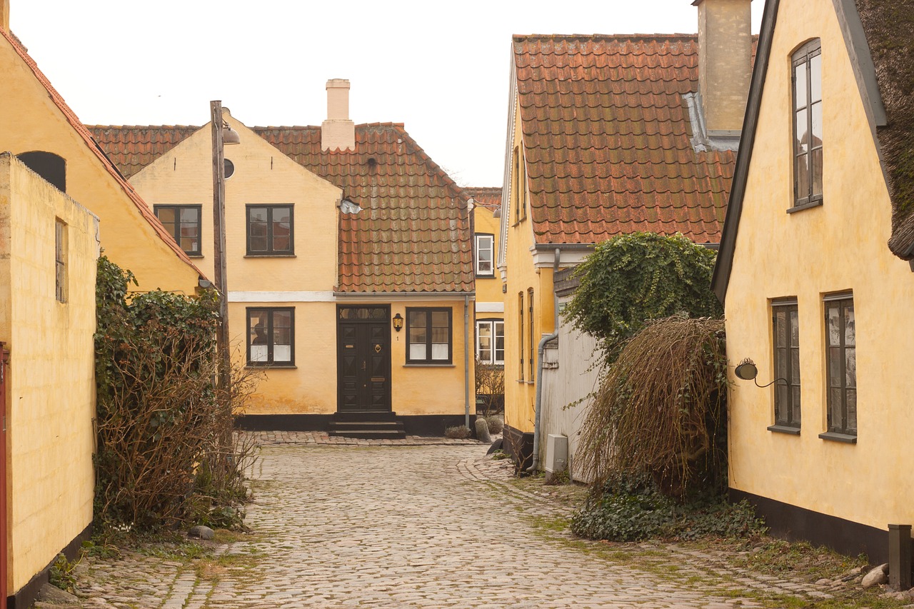 fisherman  village  dragør free photo