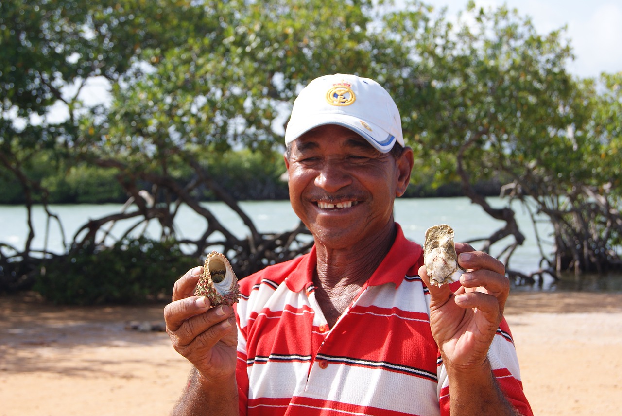 fisherman beach oysters free photo