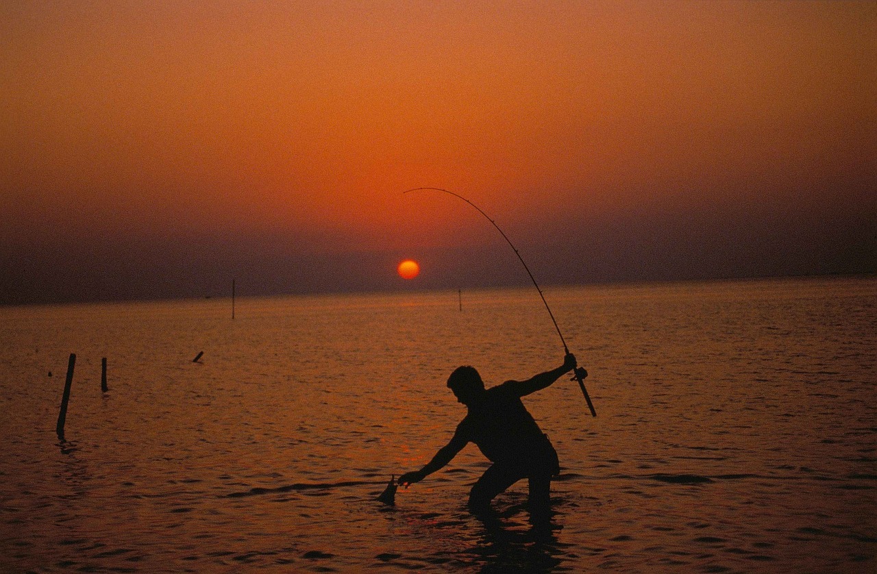 fisherman sunset fishing free photo