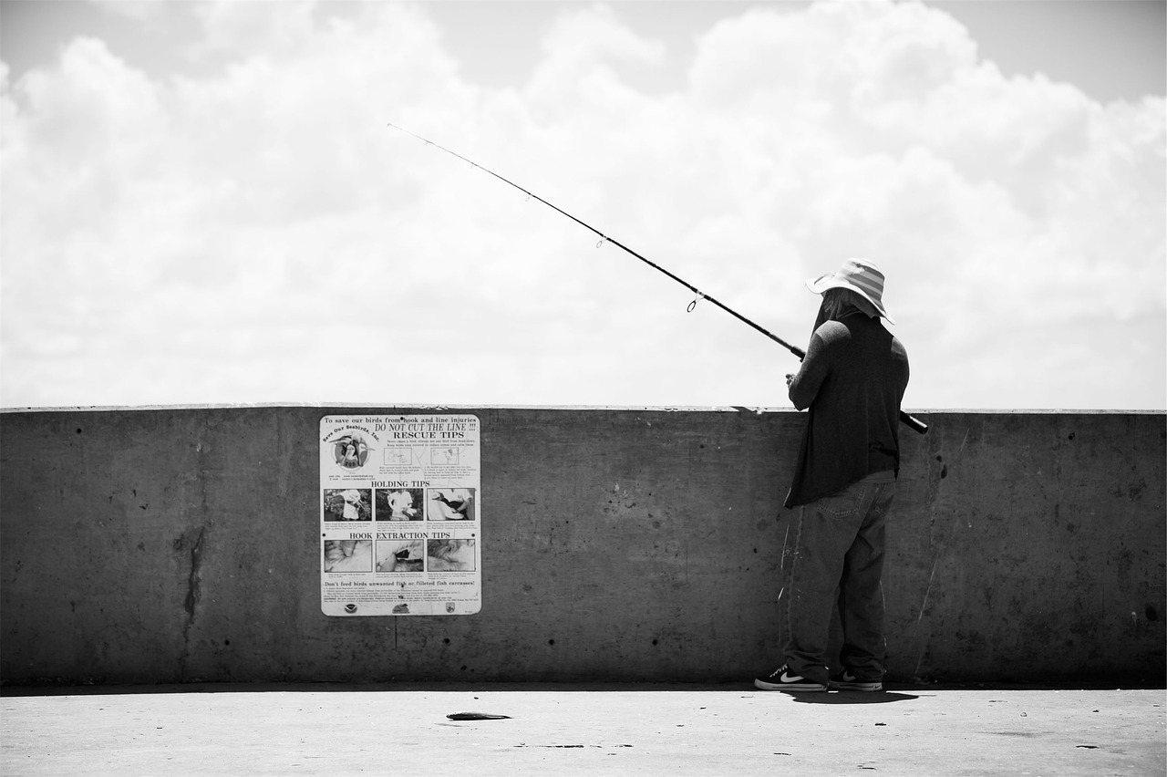 fisherman fishing rod free photo