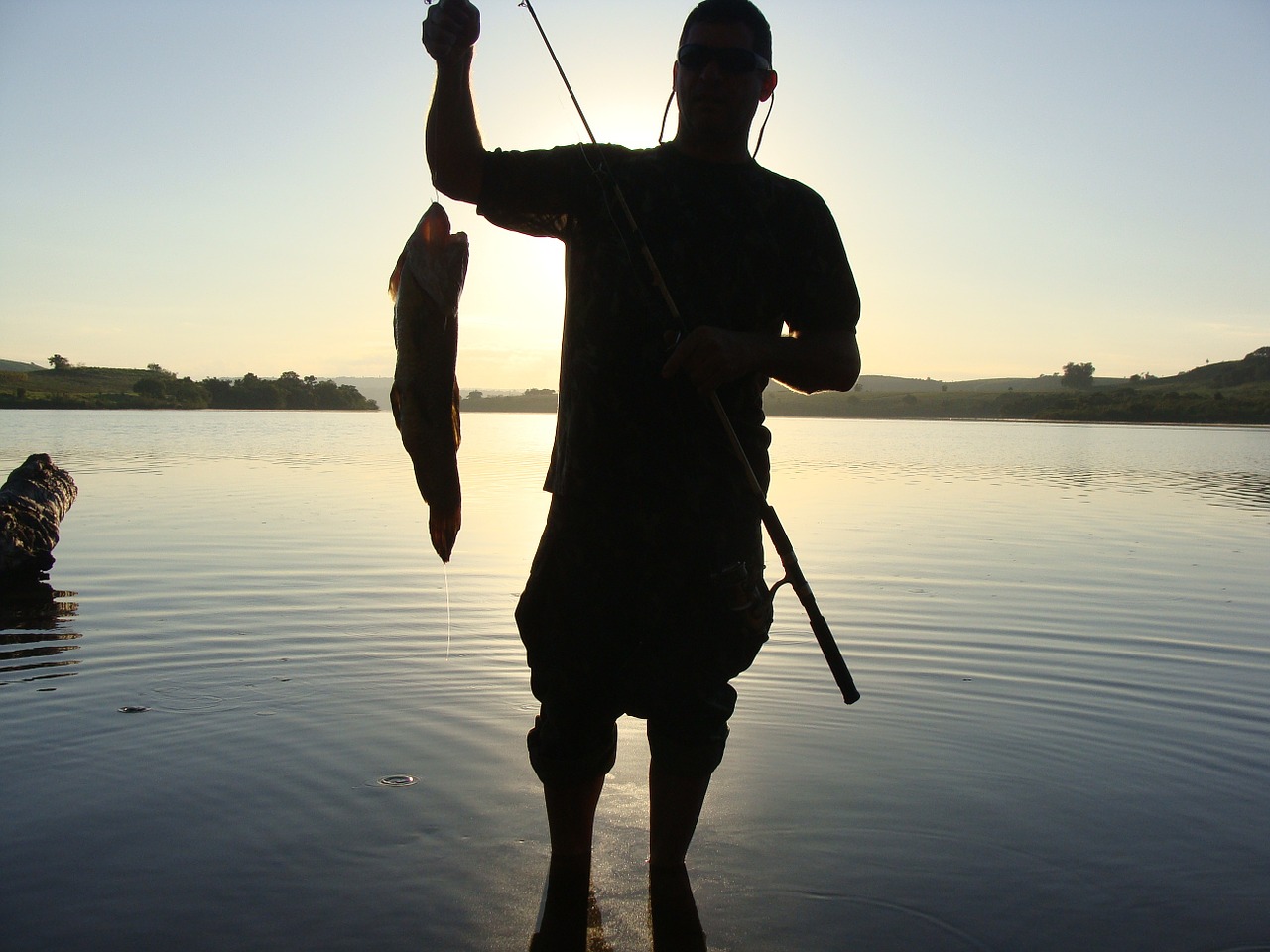 fisherman silhouette fish free photo