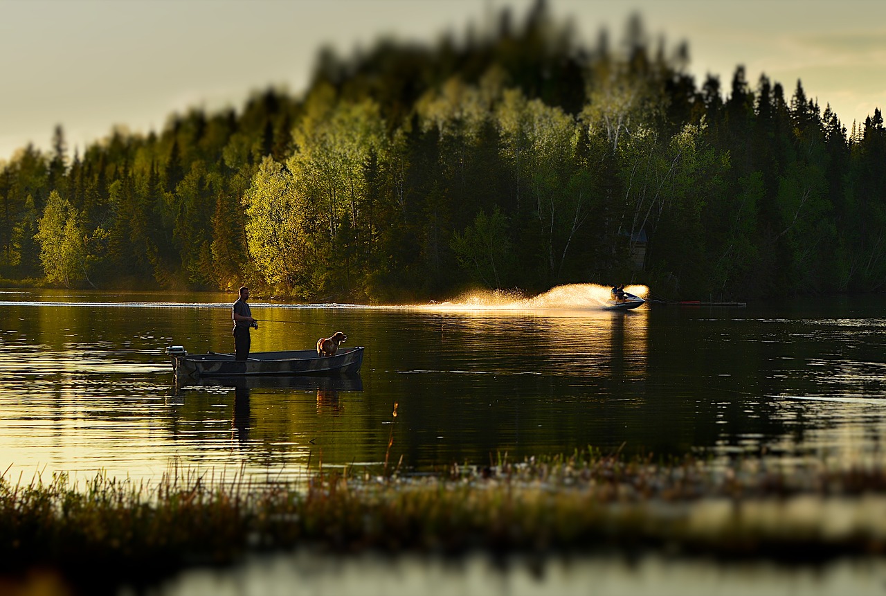 fisherman lake trees free photo