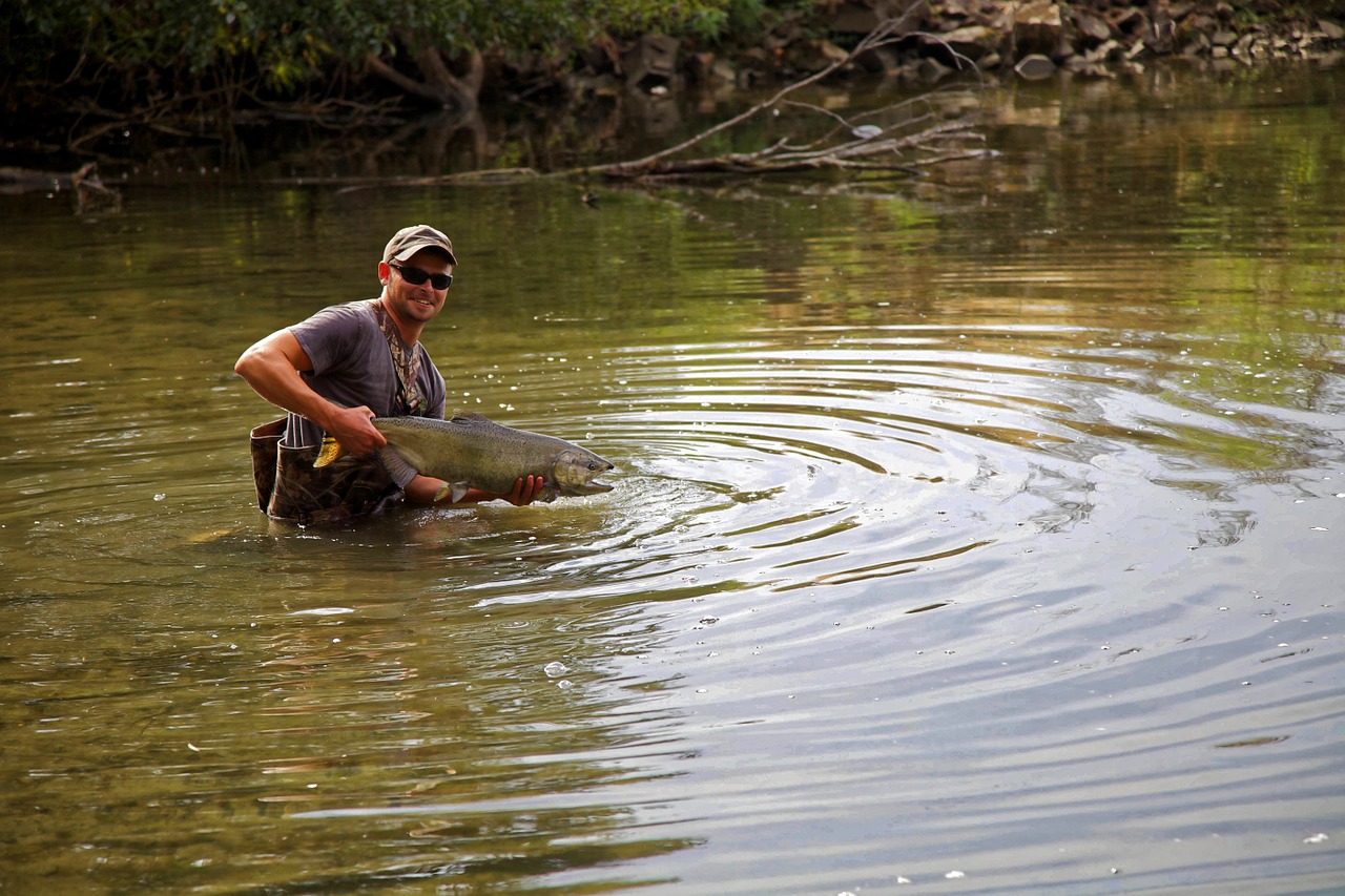 fisherman salmon wading free photo