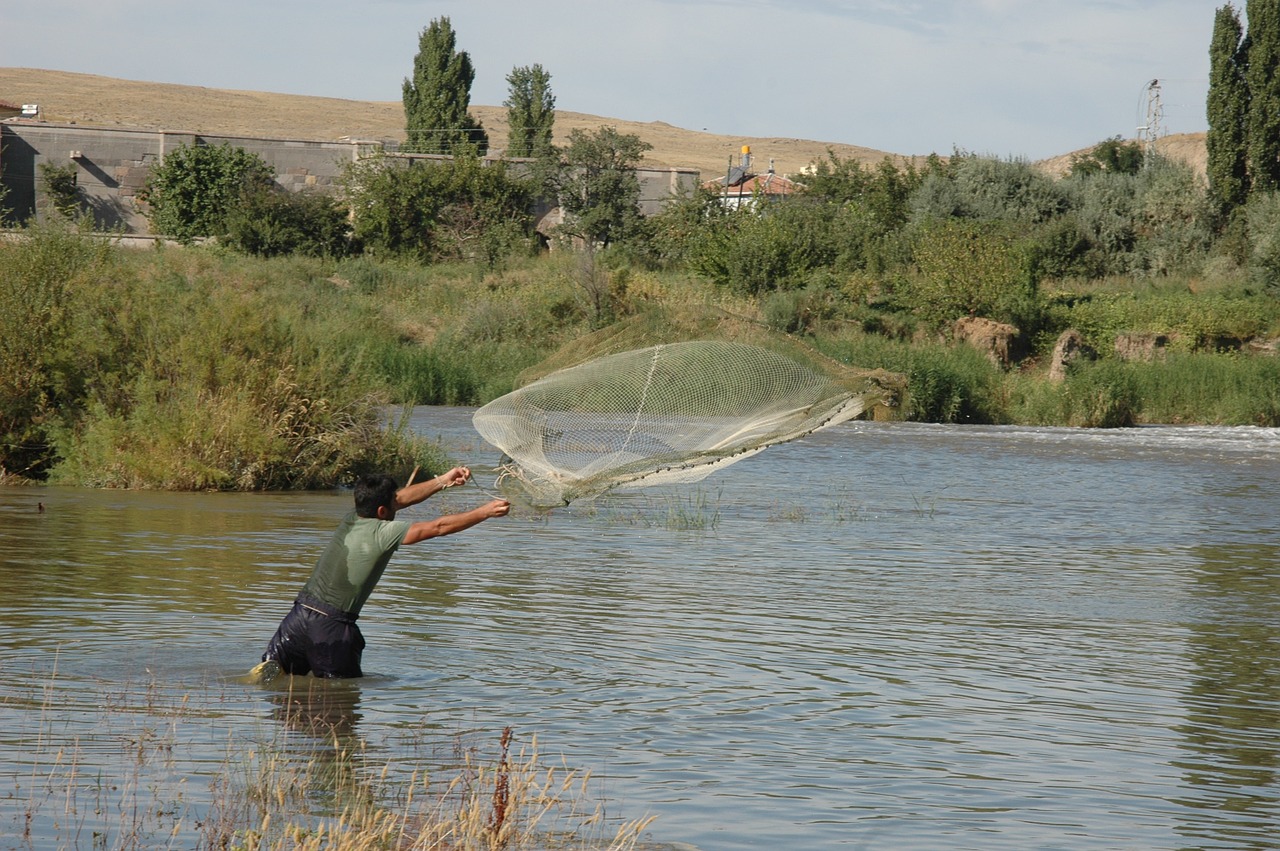fisherman cast net fishing free photo