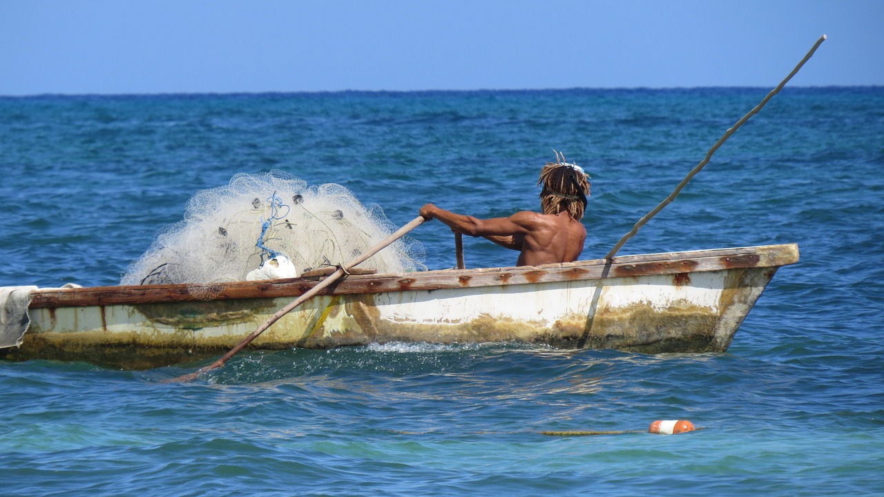 fisherman fishing fishing net free photo