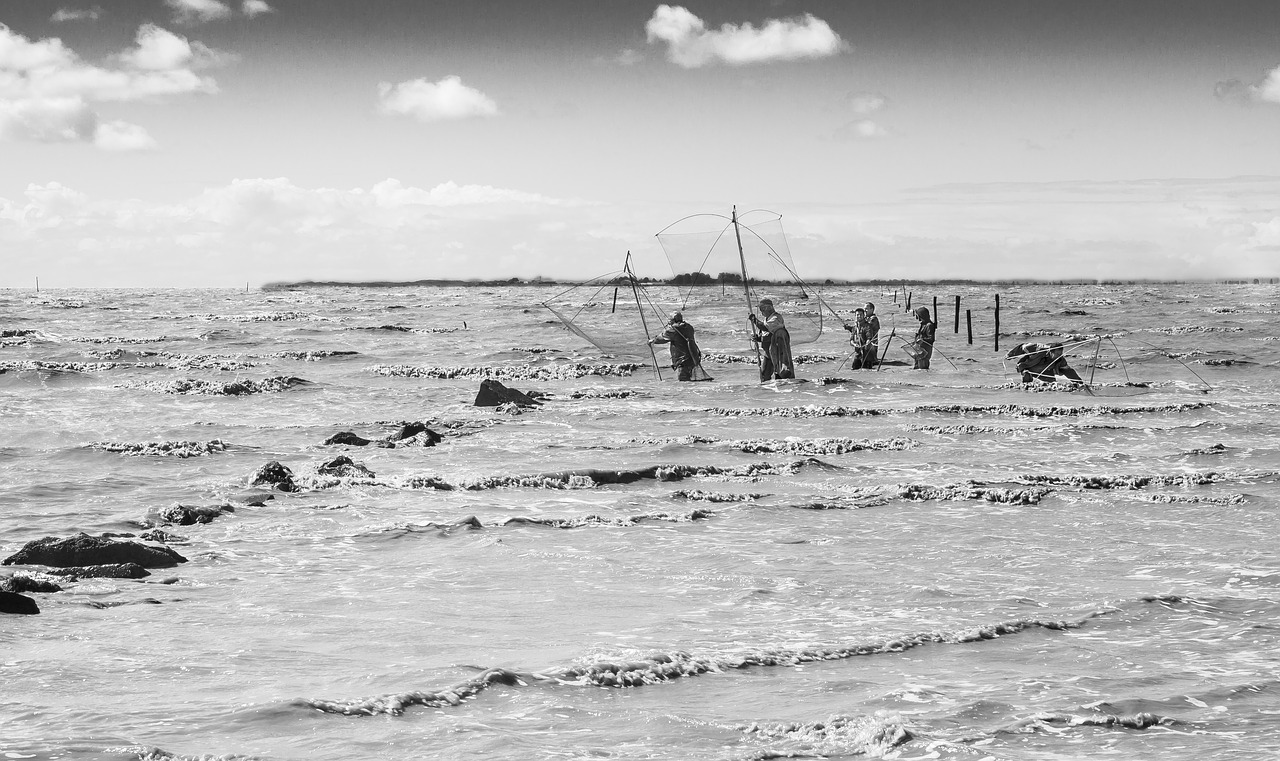 fishermen  carrelets  sea free photo