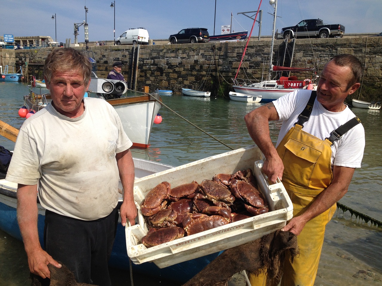 fishermen crabs newquay free photo