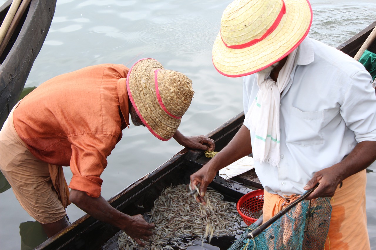 fishermen in india fisher in kerela fishing in allepeay free photo