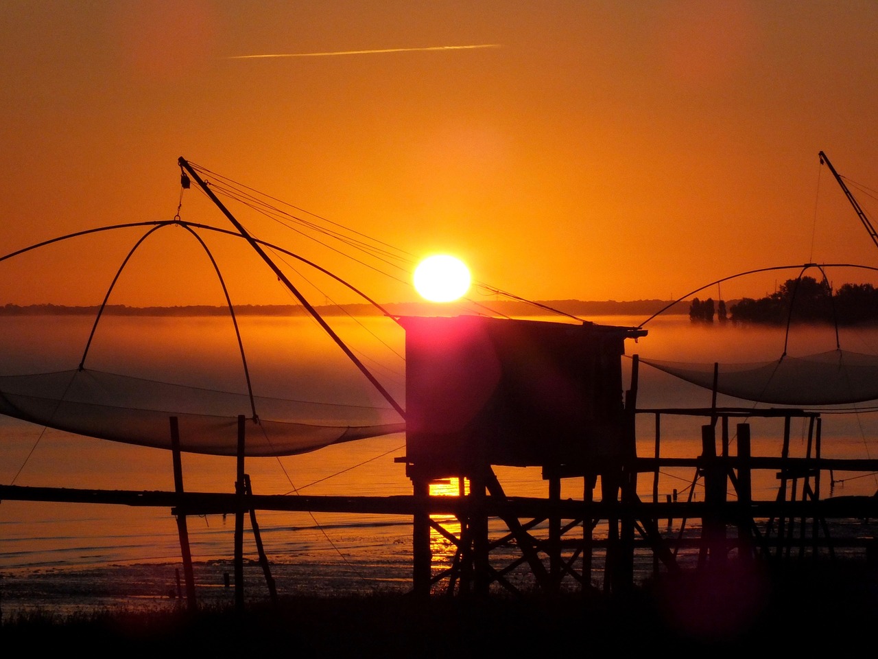 fishery net fishing plaice free photo