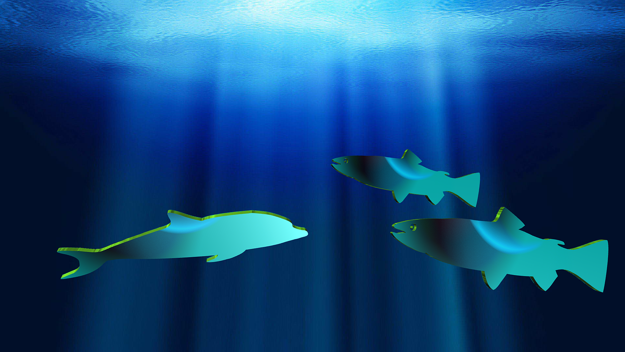 fishes dolphin aquatic free photo
