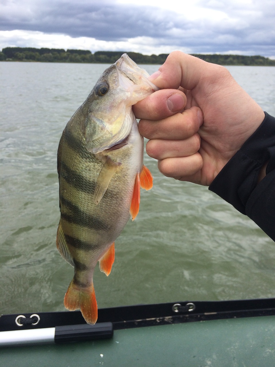 fishing lake river free photo