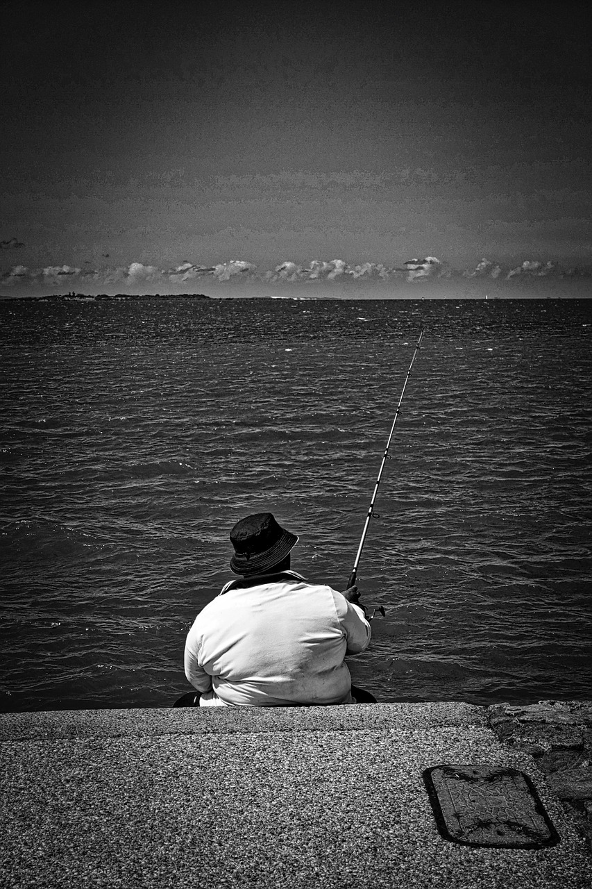 fishing rod catch free photo