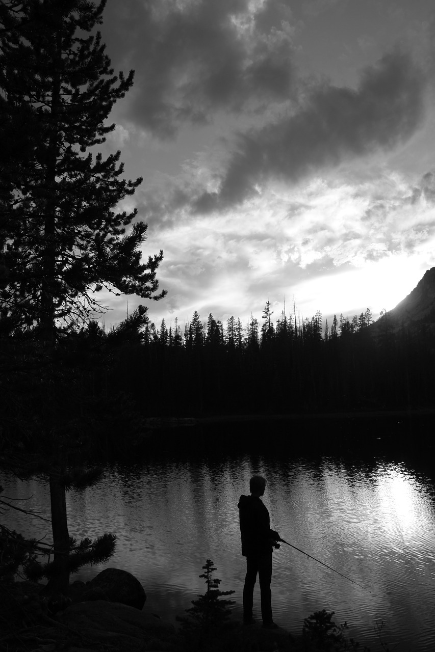 fishing outdoors wilderness free photo