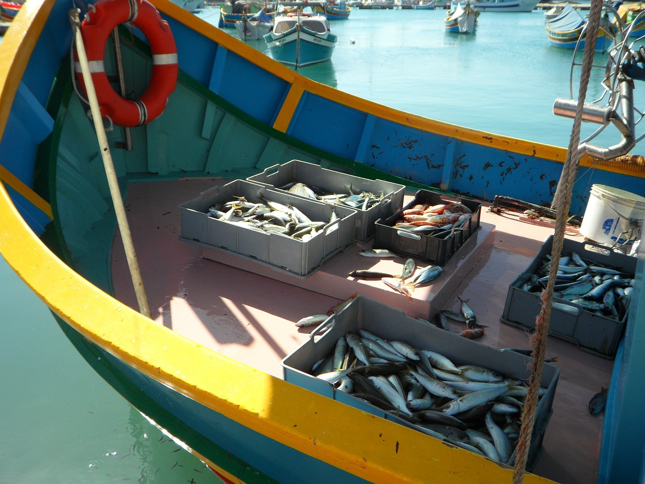 fishing port malta free photo