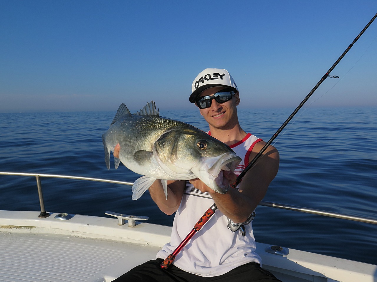 fishing fish sea free photo