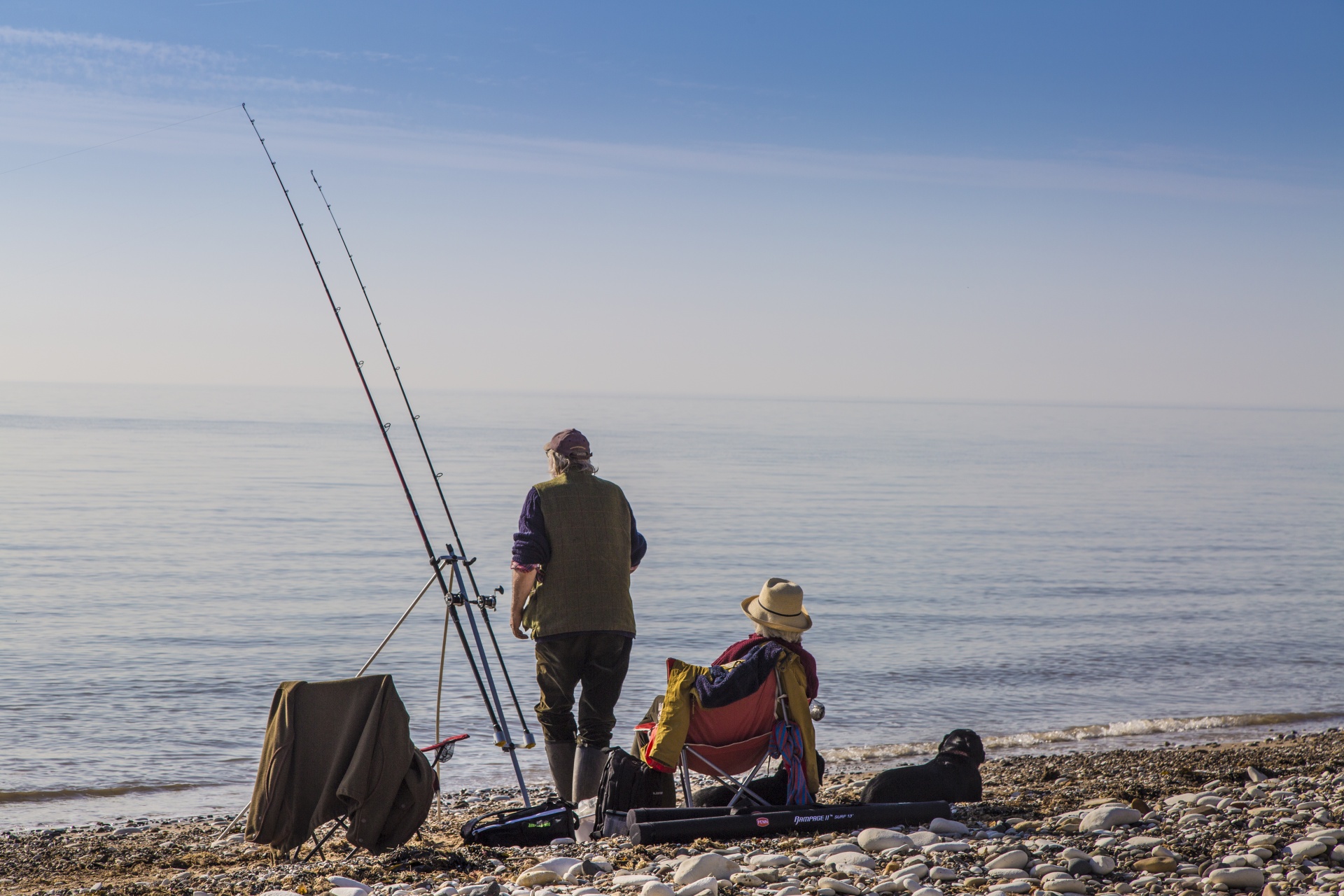 animal fishing fishing industry free photo