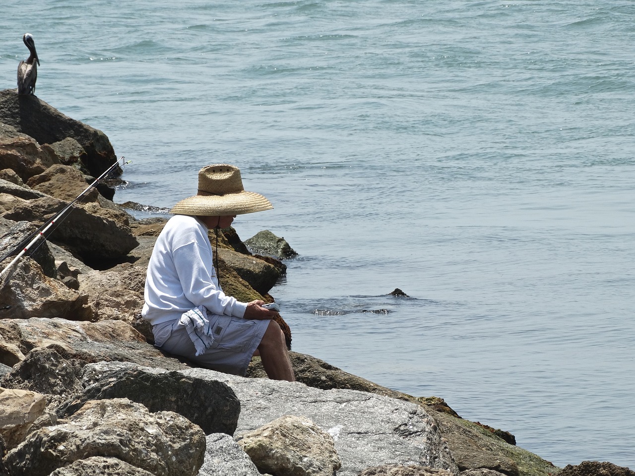 fishing man people free photo