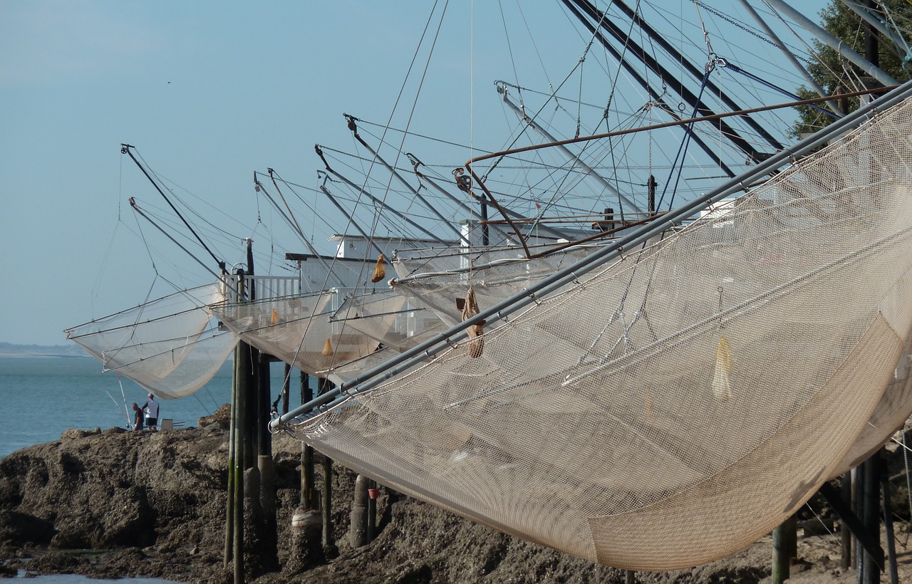 fishing plaice netting free photo