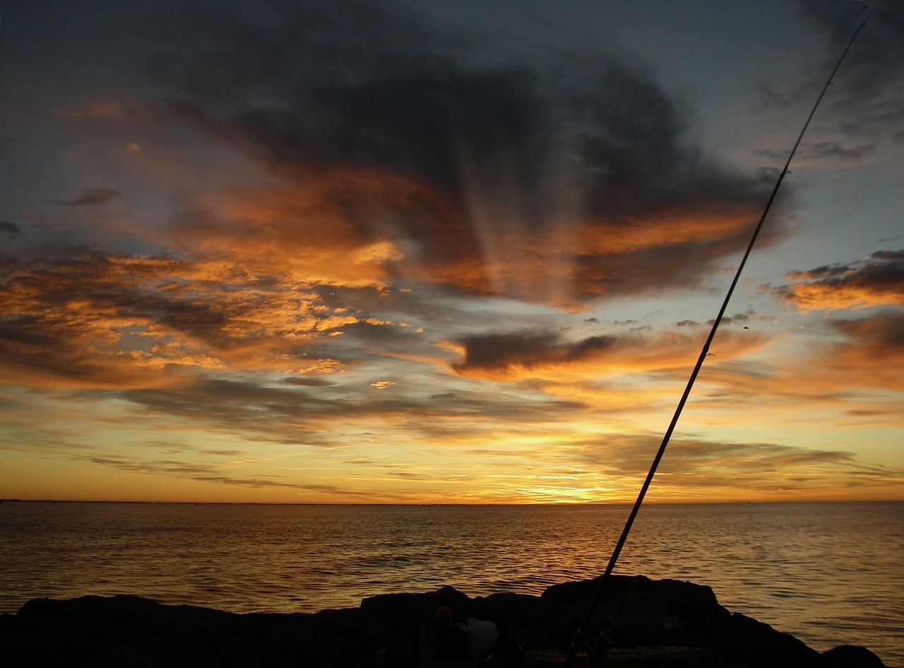 fishing morning calm mediterranean free photo