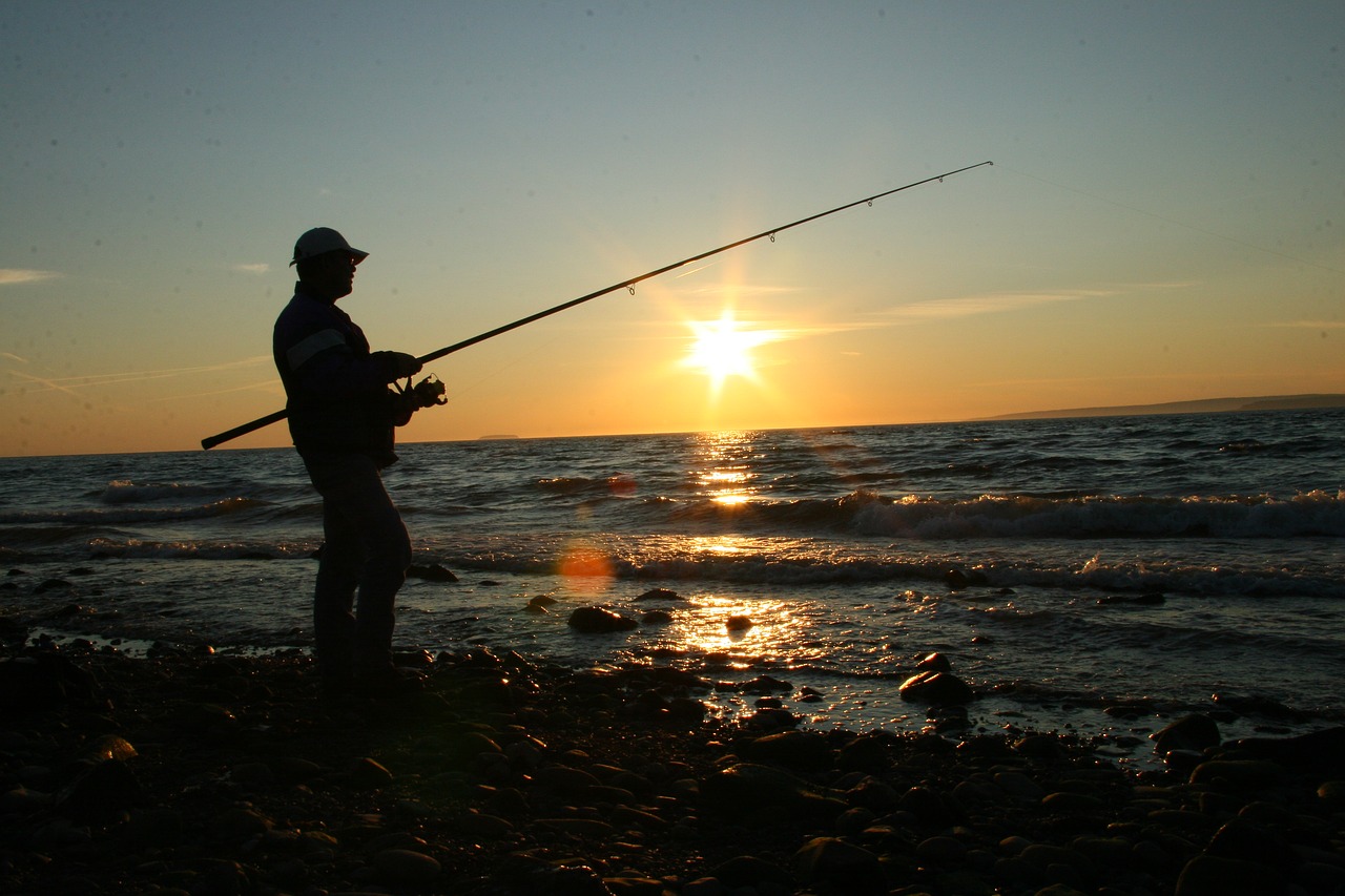 fishing coast ocean free photo