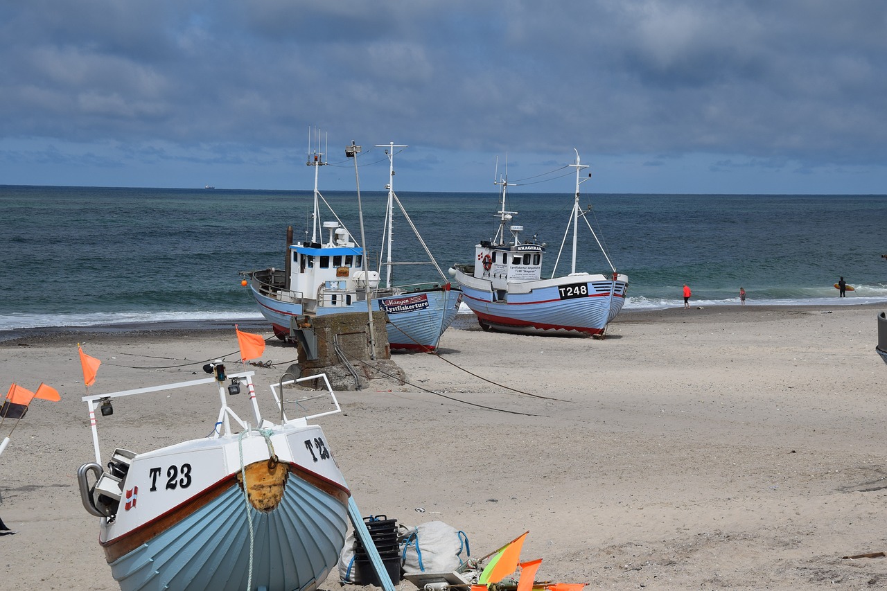 fishing summer beach free photo