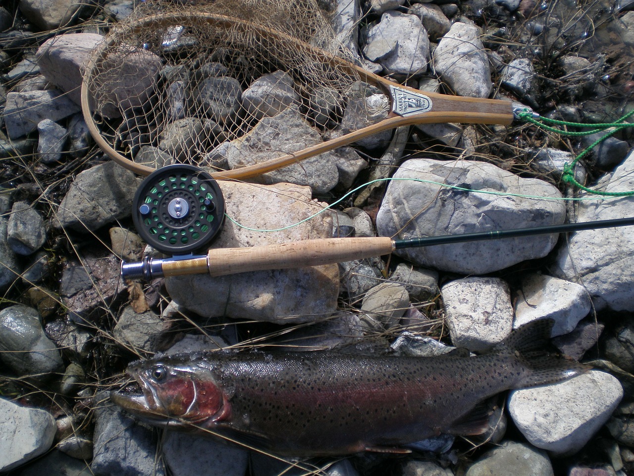 fishing rod reel free photo