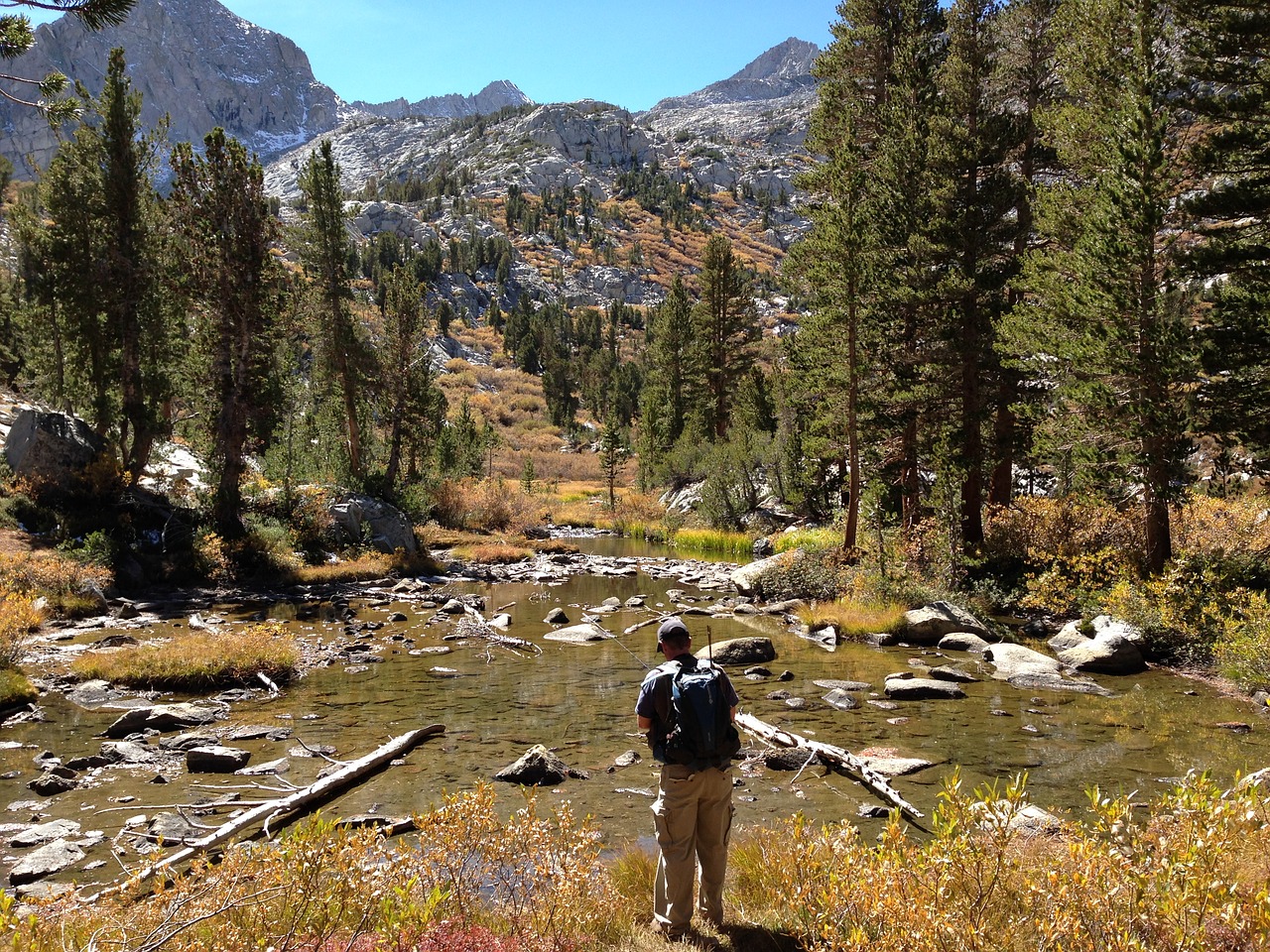 fishing outdoors fly-fishing free photo