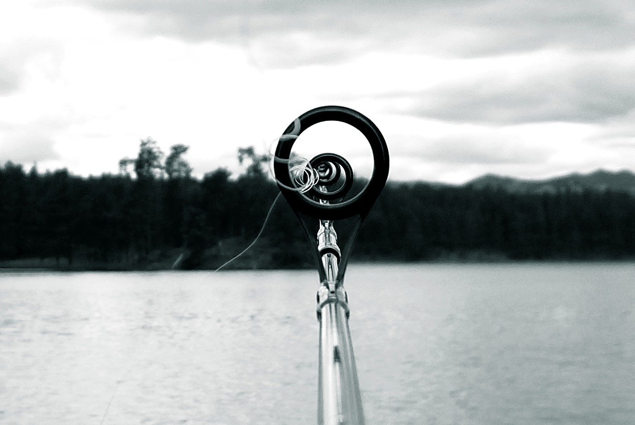 fishing pole lake free photo
