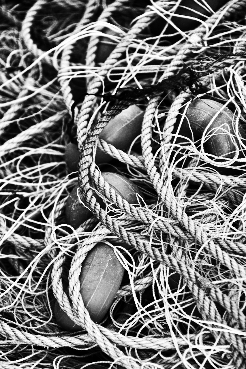 fishing networks arte xávega free photo