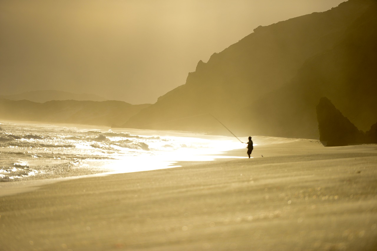 fishing sunset beach free photo