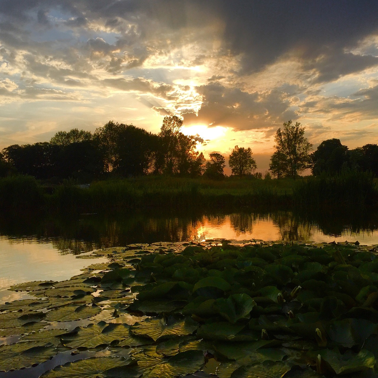 fishing norfolk water free photo