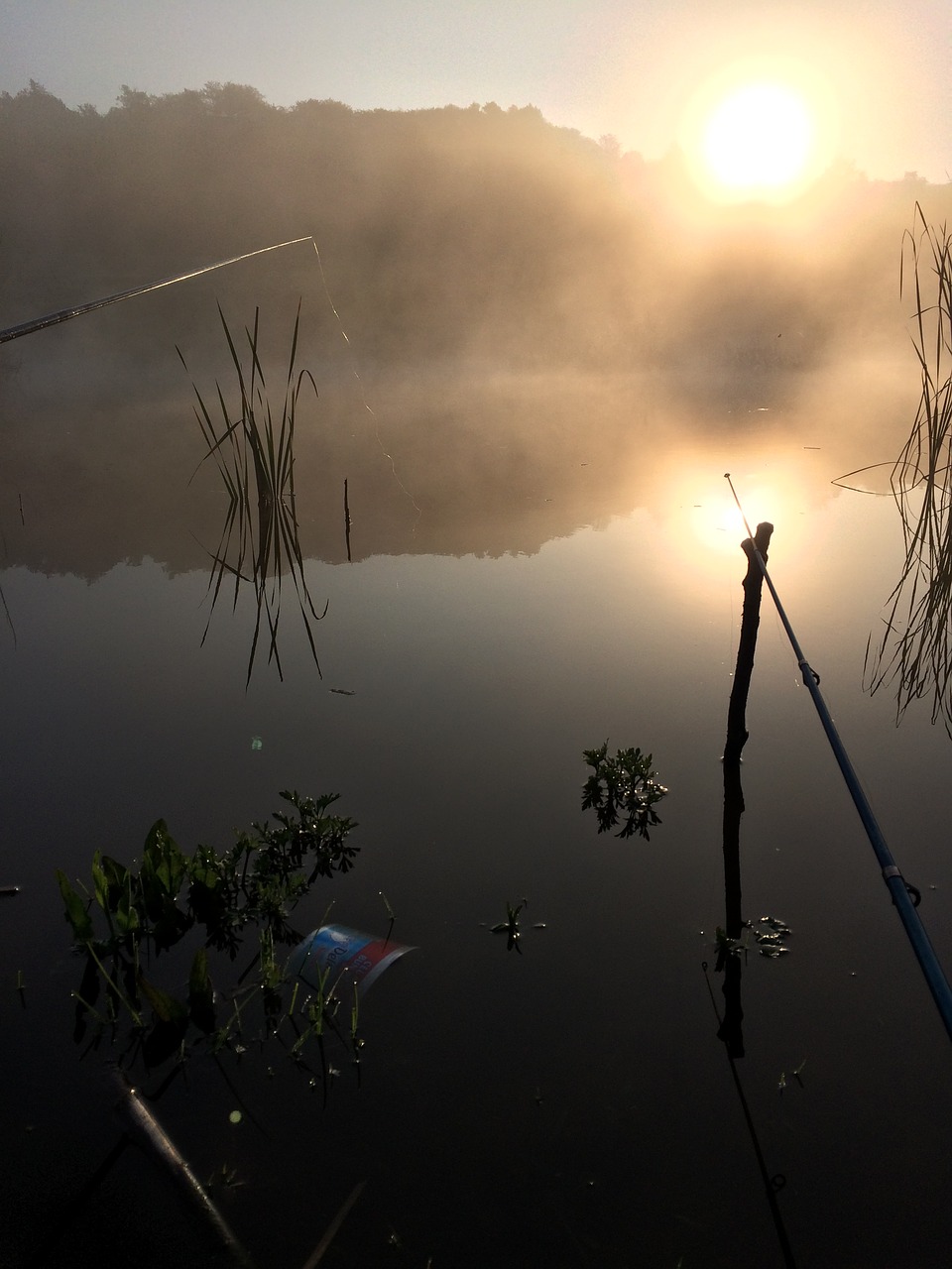 fishing sunrise nature free photo