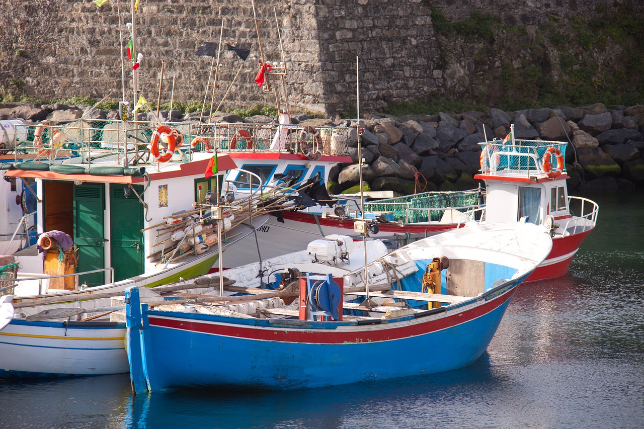 fishing boats portuguese free photo