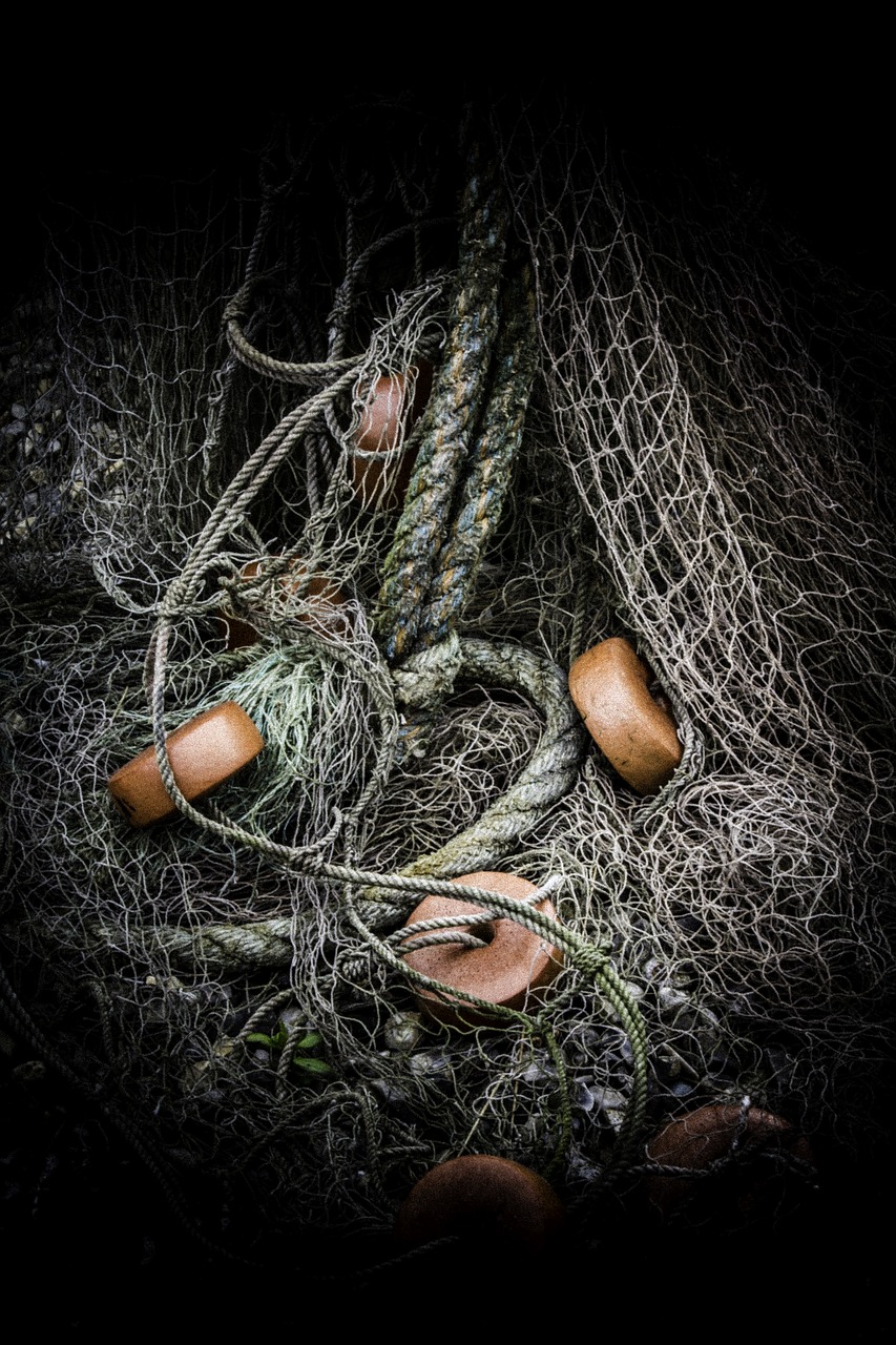 fishing nets rope free photo