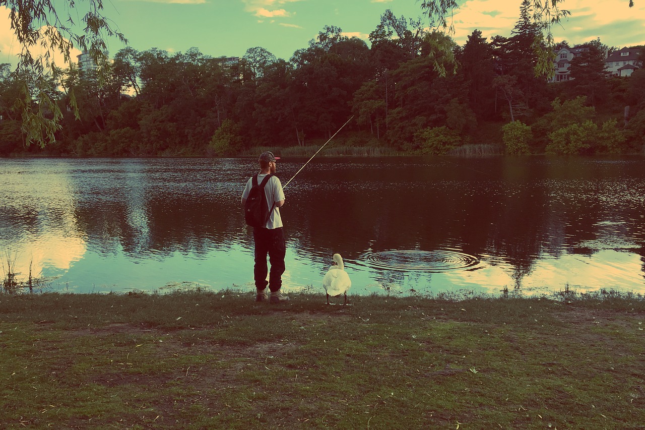 fishing nature lake free photo